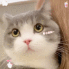 link alternatif happyslot Tomokuni, presiden berikutnya, lahir pada 1 November, di hari yang sama dengan Hello Kitty